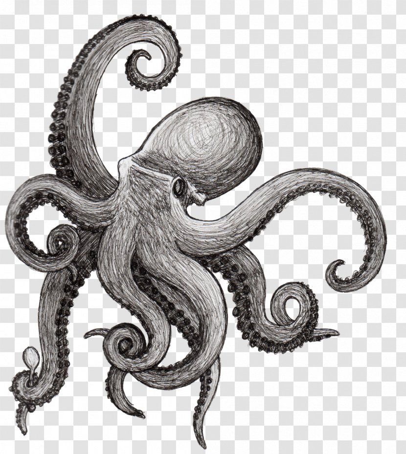 Octopus Drawing Squid Tentacle - Invertebrate - Octapus Transparent PNG