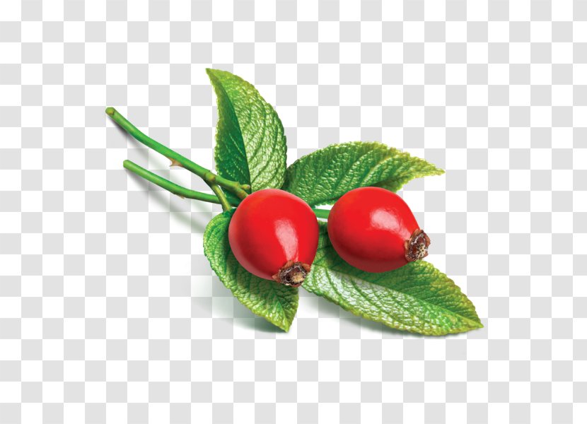 Rose Hip Seed Oil Essential Carrier - Cherry - Blackish Transparent PNG