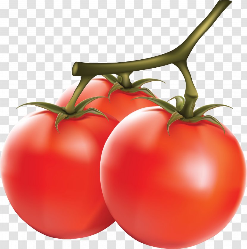 Tomato Capsicum - Cartoon - Image Transparent PNG