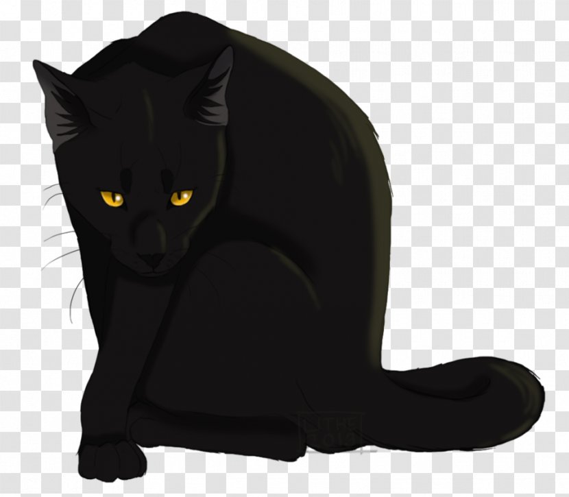 Black Cat Bombay Whiskers Warriors Cats Of The Clans - Owl Father Transparent PNG