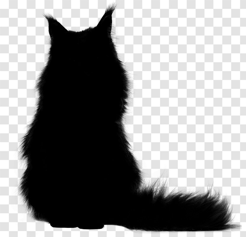 Whiskers Cat Dog Mammal Fur - Snout Transparent PNG