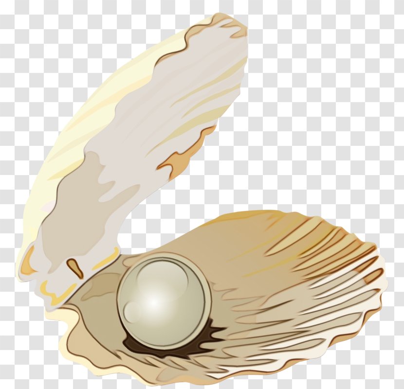 Feather - Watercolor - Pearl Natural Material Transparent PNG