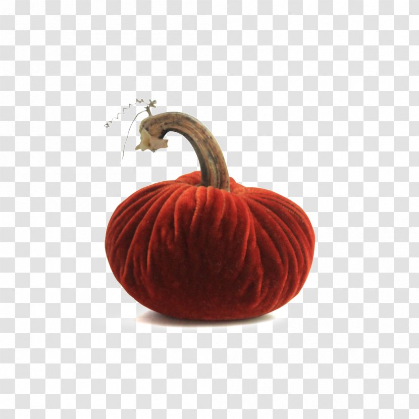 Pumpkin Thanksgiving Holiday Centrepiece Gift Transparent PNG