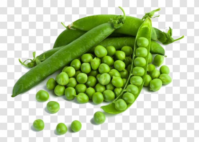 Green Pea Vegetable Split Mattar Paneer - Cooking - Pois Doux Thika Transparent PNG