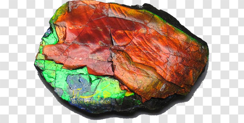 Bearpaw Formation Ammolite Rock Mineral Ammonites - Labradorite Transparent PNG