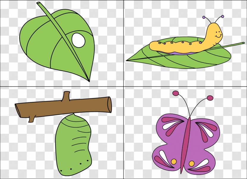 Butterfly Biological Life Cycle Caterpillar Clip Art - Flower - Simple Cliparts Transparent PNG