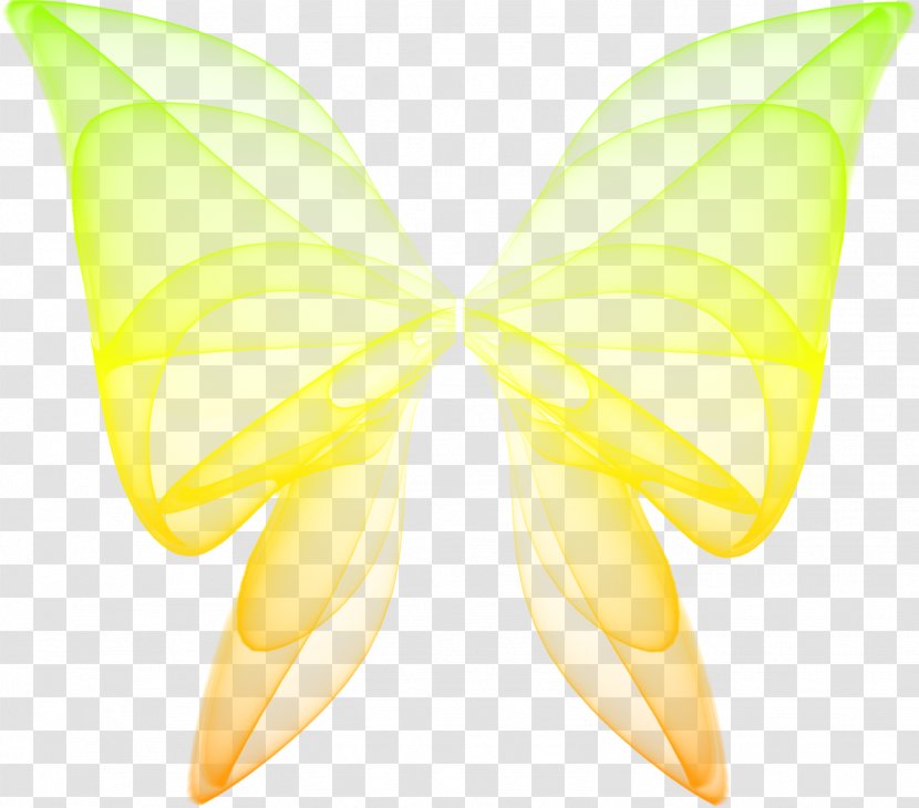 Moth Symmetry - Pollinator - Yellow Transparent PNG