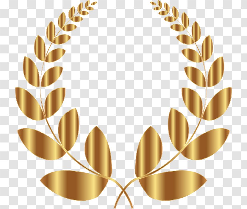 Laurel Wreath Bay Clip Art - Flower Transparent PNG