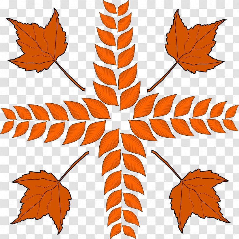 Autumn Leaf Color Drawing Clip Art - Plant Stem Transparent PNG