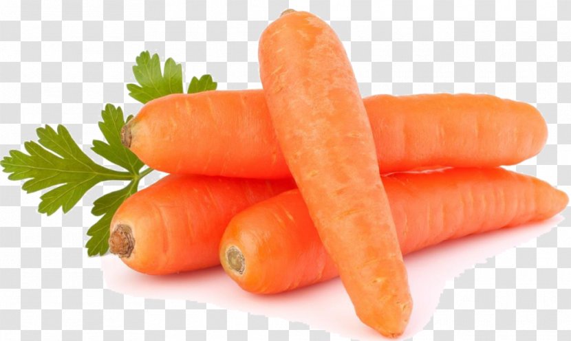 Carrot Organic Food Vegetable Seed - Bockwurst Transparent PNG