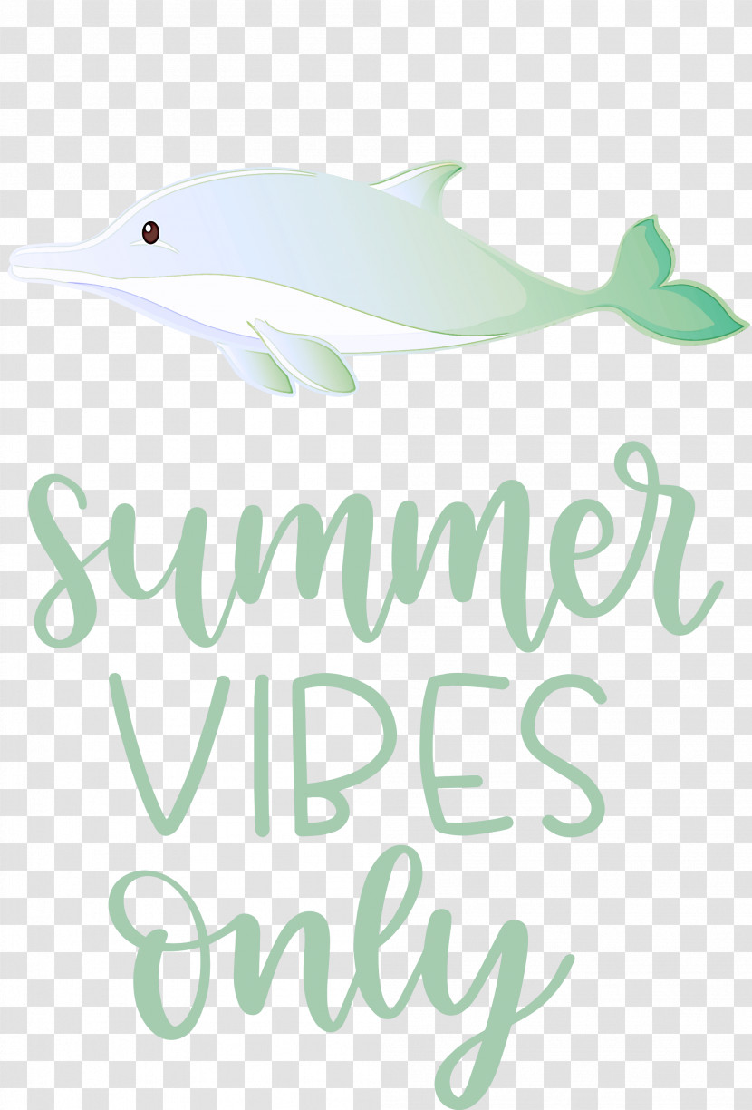 Summer Vibes Only Summer Transparent PNG