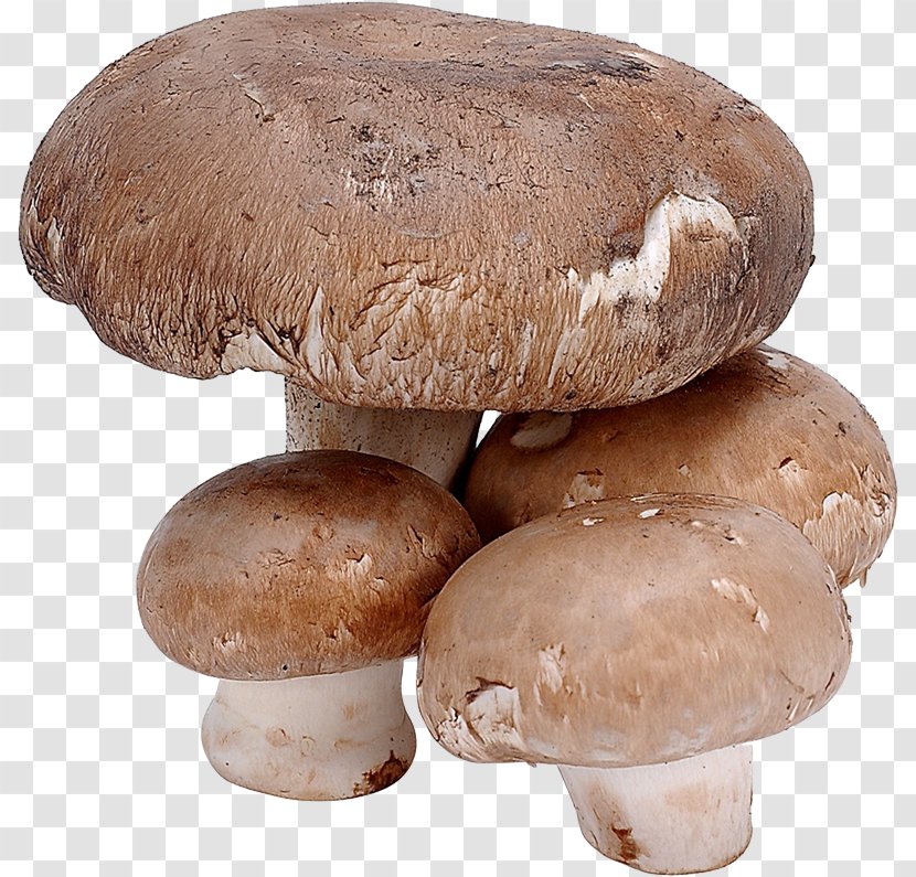 Edible Mushroom Shiitake Fungus Food - Vegetable Transparent PNG