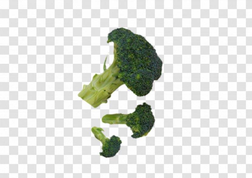 Vegetable Download - Image Resolution - Green Broccoli Transparent PNG