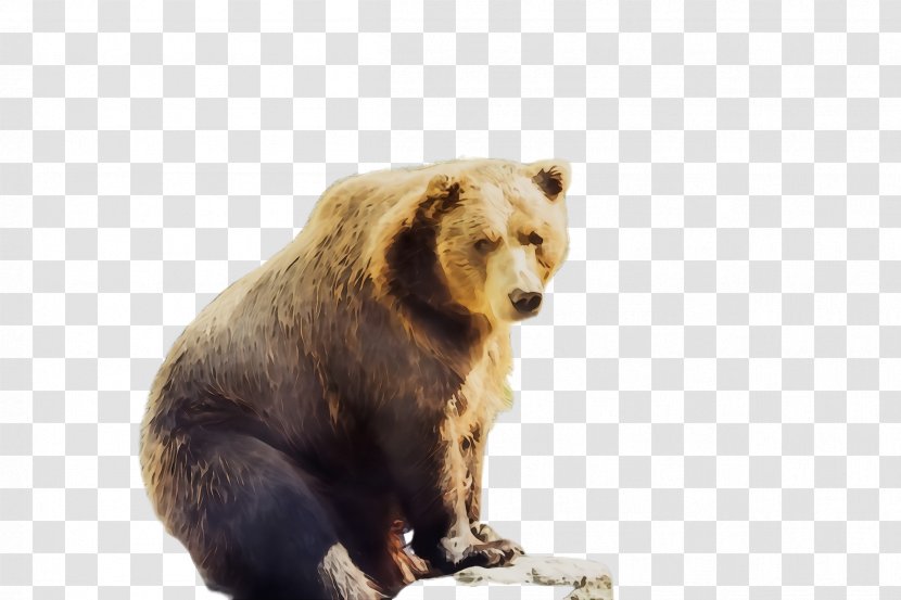 Bear Brown Grizzly Terrestrial Animal Wildlife - Kodiak - Figure Transparent PNG