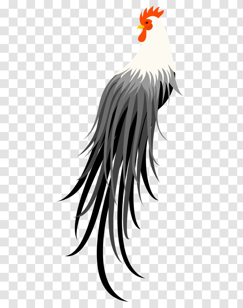 Rooster Chicken Bird Beak Feather Transparent PNG