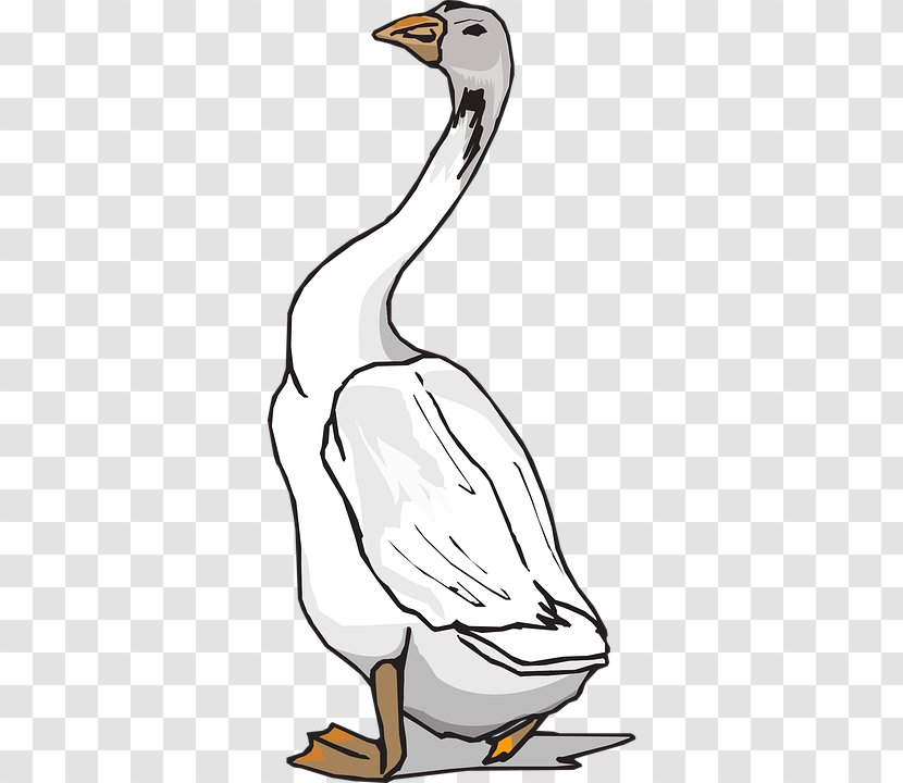 Duck Goose Bird Clip Art - Artwork Transparent PNG