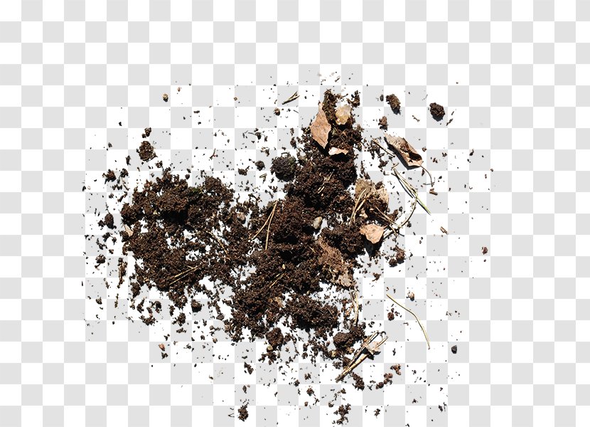 Soil Mud - Home Page - Earl Transparent PNG