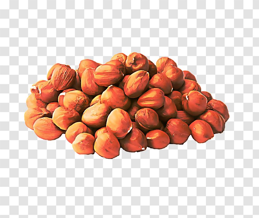 Chocolate Cartoon - Hazelnut - Nuts Seeds Superfood Transparent PNG