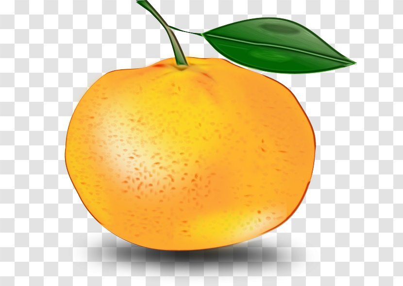 Fruit Cartoon - Valencia Orange - Pear Seedless Transparent PNG