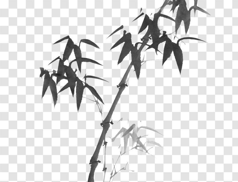 Bamboo Black And White Chinese Painting - Landscape Transparent PNG