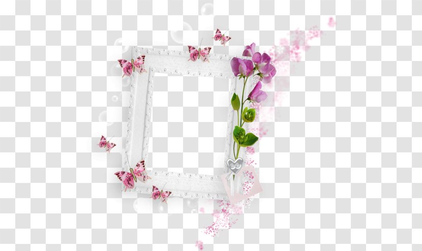 Picture Frames Butterfly Photography - Heart Transparent PNG