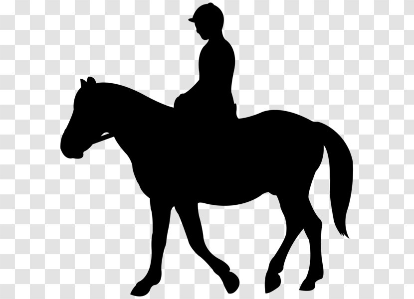 Jockey English Riding Mustang Silhouette Clip Art - Stallion Transparent PNG