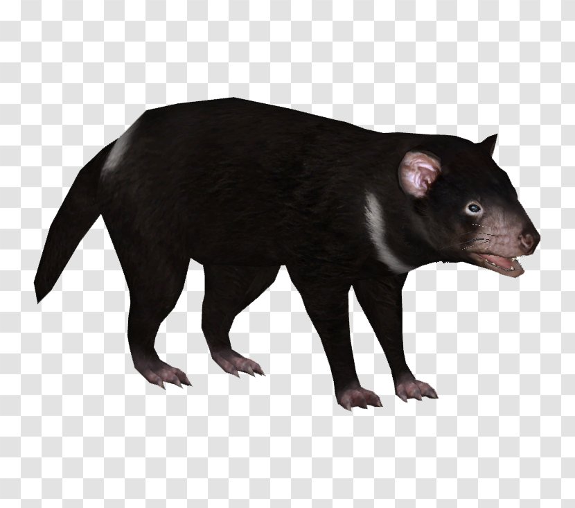 Tasmanian Devil Zoo Tycoon 2 Platypus Drawing - Marsupial Transparent PNG