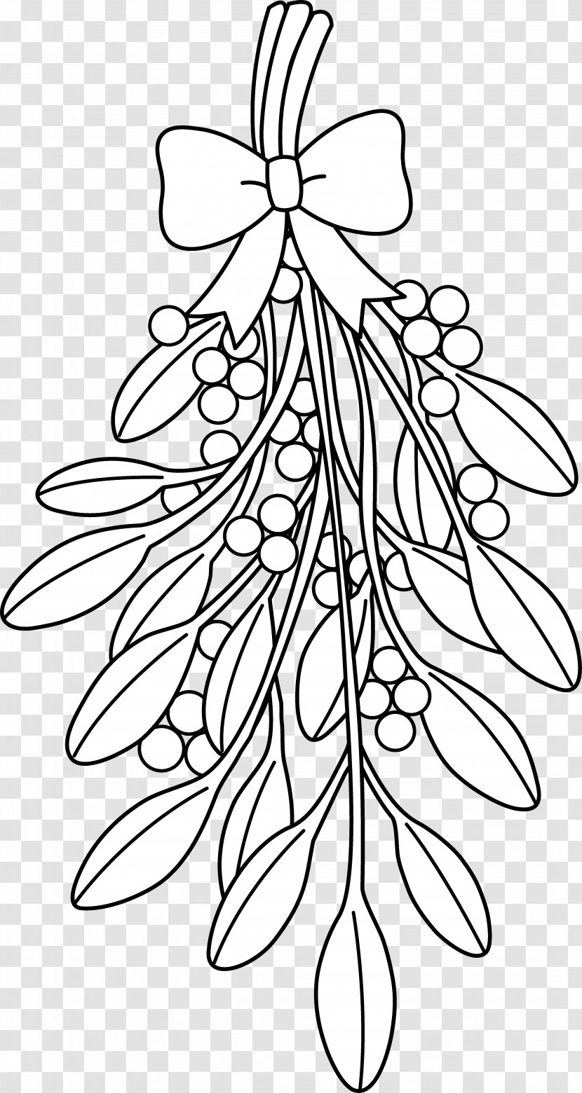 Mistletoe Coloring Book Drawing Tree Christmas - Flowering Plant Transparent PNG