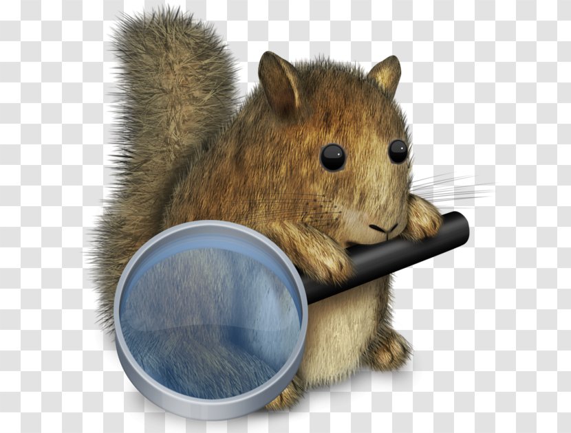 Mac Book Pro MacOS App Store Apple - Fox Squirrel - Lavender 18 0 1 Transparent PNG