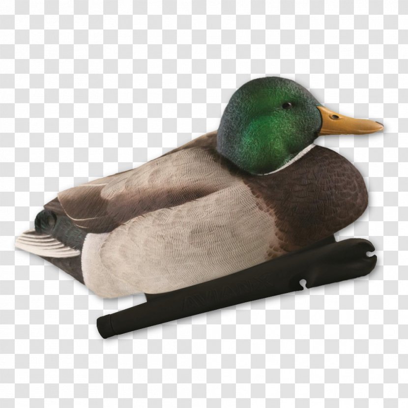 Mallard Goose Duck Hunting Decoy - Teal Transparent PNG