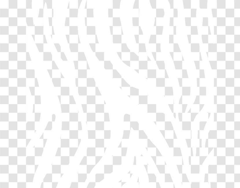 White Black Pattern - Zebra Transparent PNG