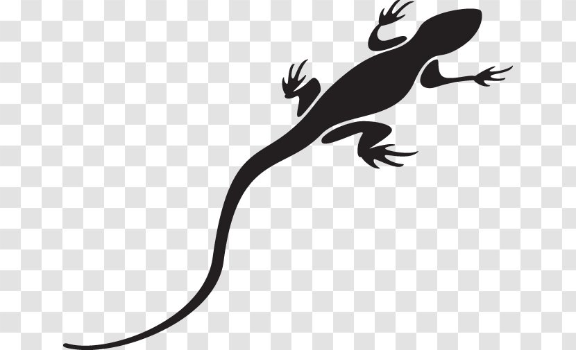 Lizard - Scaled Reptile - True Salamanders And Newts Tail Transparent PNG