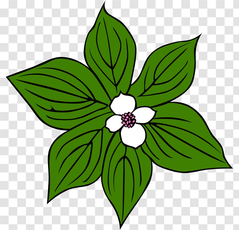 Flower Green Clip Art - Flora - Saxaphone Clipart Transparent PNG
