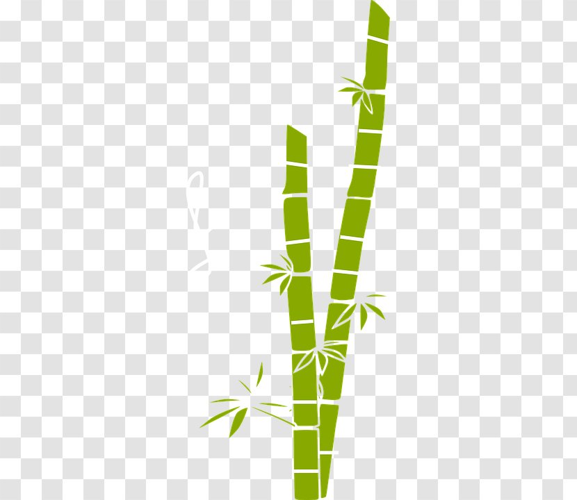 Bamboo Free Content Clip Art - Grass - Green Transparent PNG