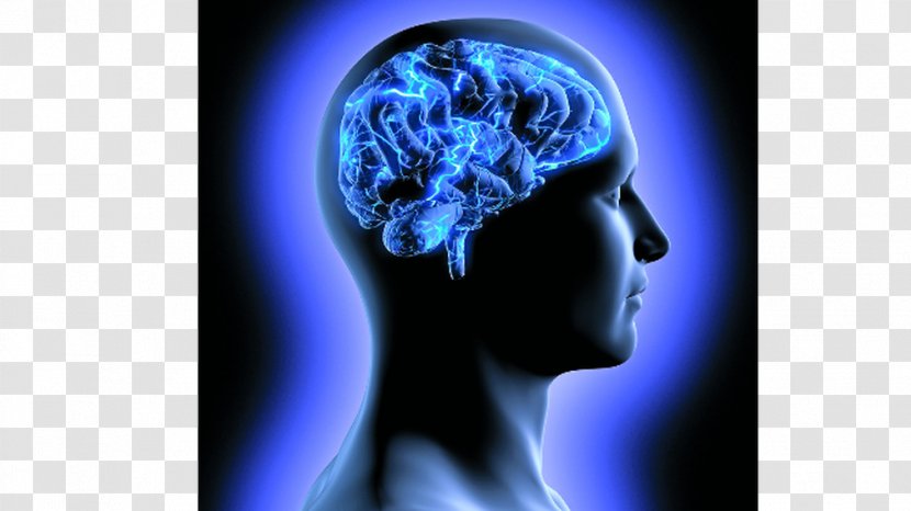 Central Nervous System Disease Therapy Neurological Disorder Mental Patient - Brain - Cerebro Digital Transparent PNG