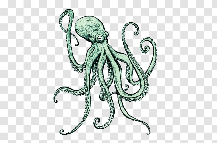 Common Octopus Image Giant Pacific Cephalopod Intelligence - Invertebrate - Stamp Transparent PNG