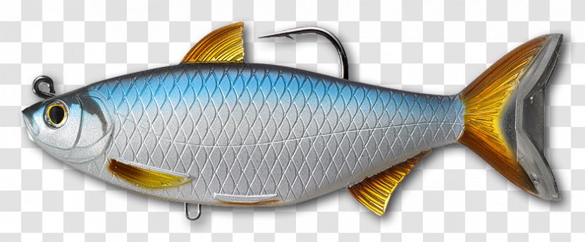Swimbait Golden Shiner Soft Plastic Bait Fishing Baits & Lures - Seafood Transparent PNG