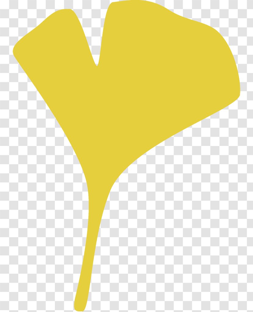 Ginkgo Leaf Gingko Maidenhair - Logo - Yellow Transparent PNG
