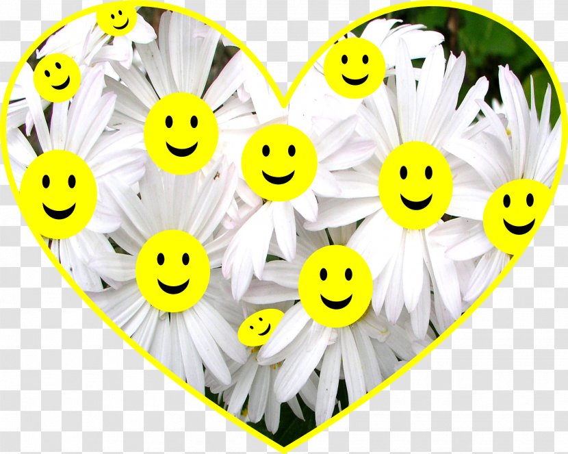 Smiley Idea Love - Sunflower Transparent PNG