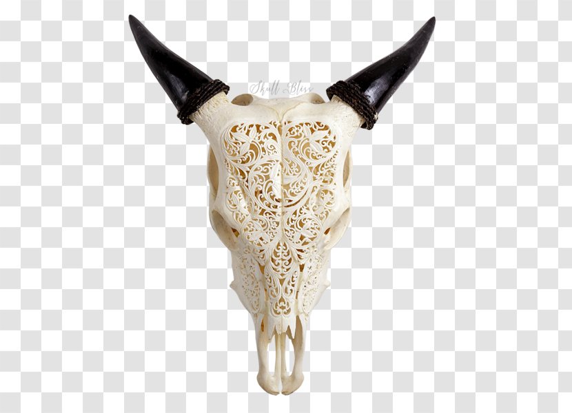 Cattle Animal Skulls Horn Ox - Bull - Skull Transparent PNG