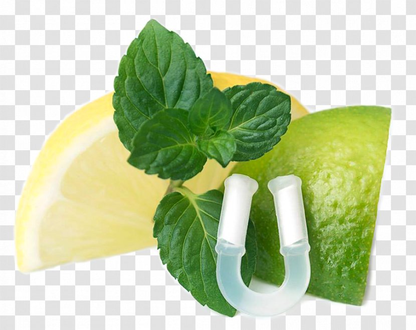 Lime Organic Food Fishpond Limited Lemon - Diet - Fresh Transparent PNG