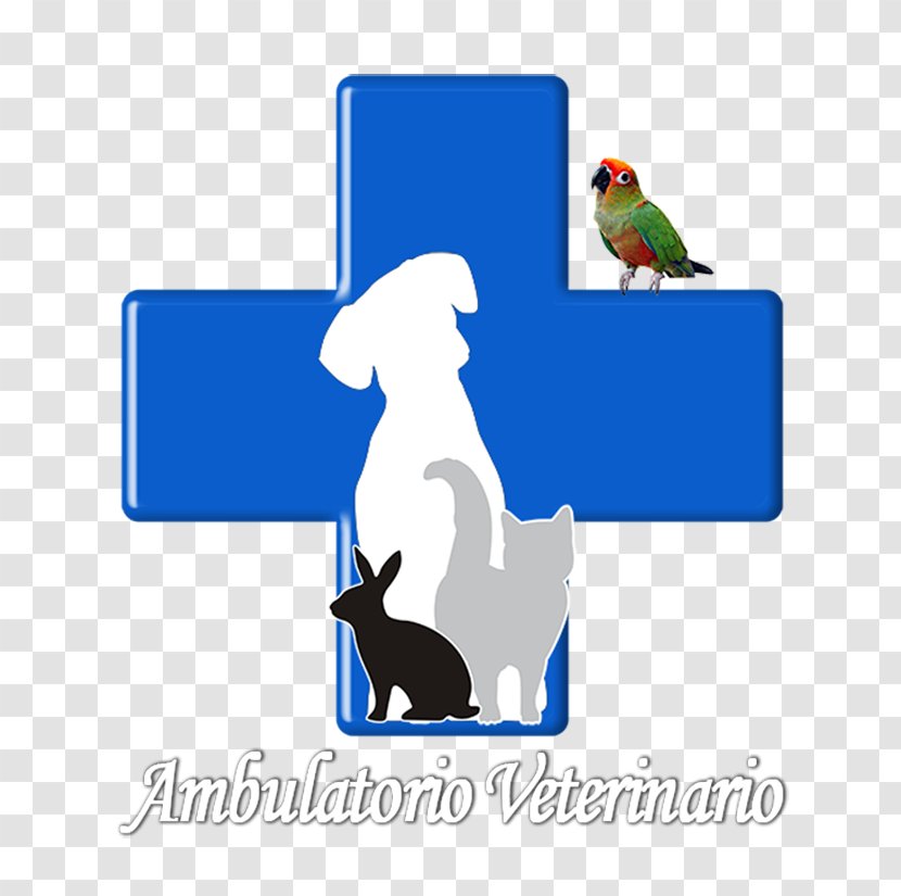 Veterinarian Cat Veterinary Medicine Dog Pet - Rabbit Transparent PNG