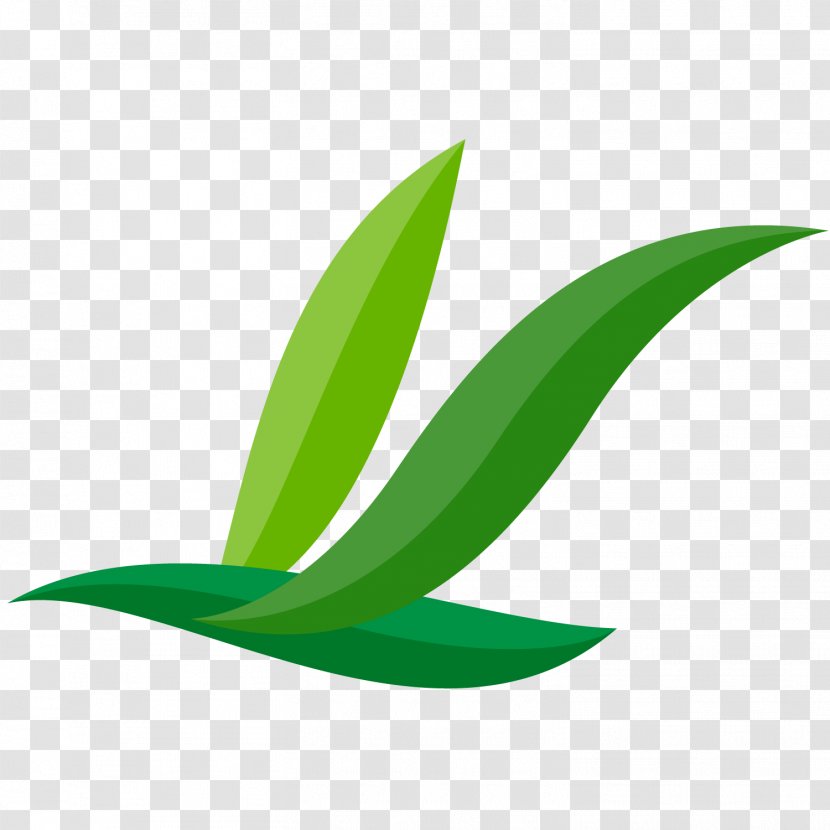 Leaf Plant Stem Transparent PNG