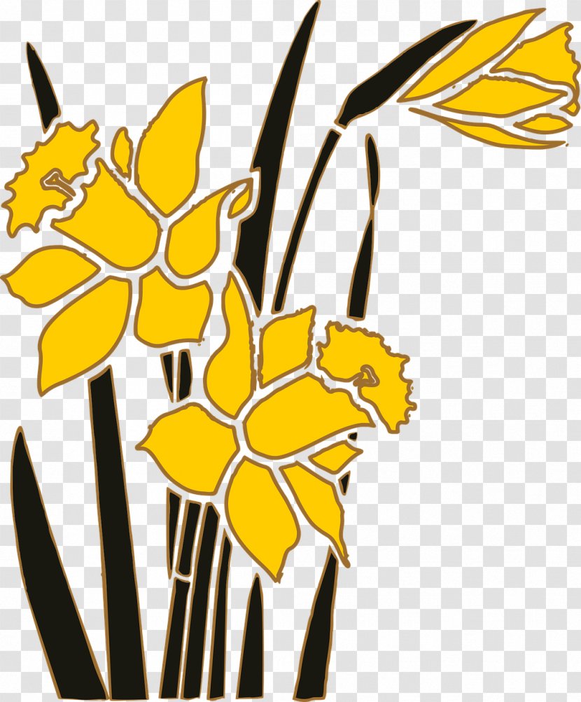 Narcissus Flower Clip Art - Insect - Daffodil Transparent PNG