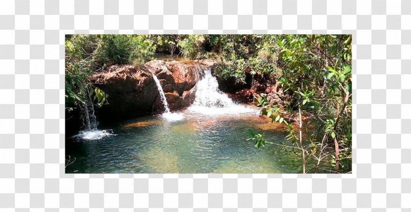 Waterfall Water Resources Nature Reserve Stream Bayou - Rainforest - Park Transparent PNG