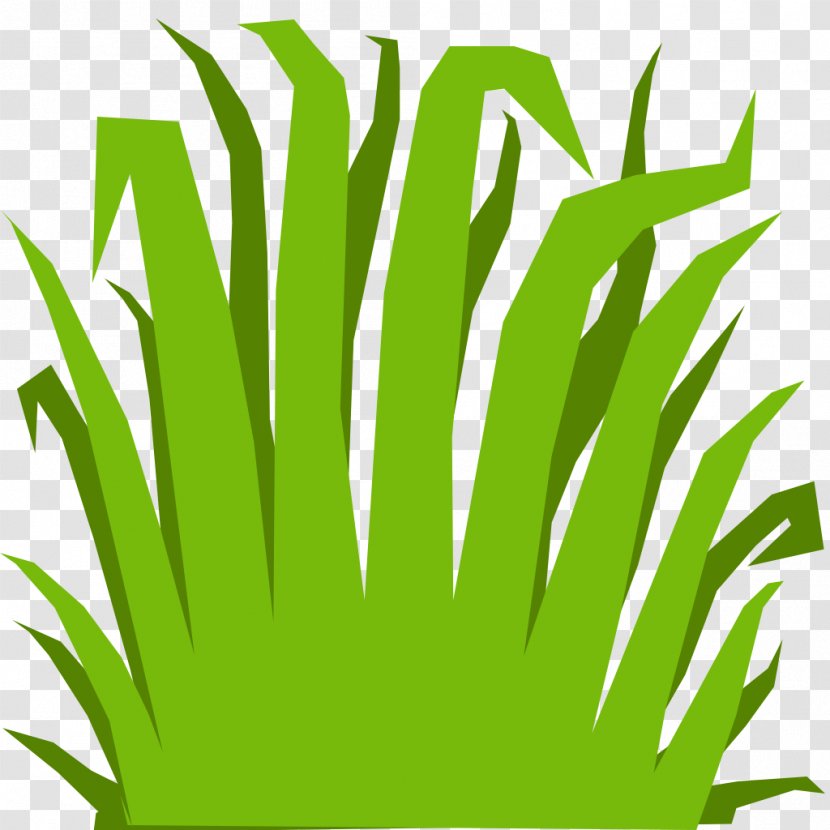 Texture Mapping Computer Animation 3D Graphics - Organism - Cartoon Grass Transparent PNG