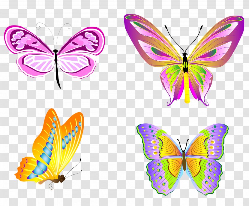 Butterfly Clip Art - Brush Footed - Transparent Butterflies Set Clipart Transparent PNG