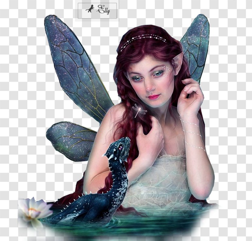 Fairy Image Photo Manipulation Elf Centerblog - Fantasy Transparent PNG