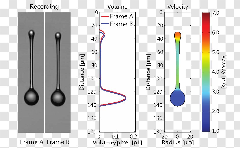 Inkjet Printing Océ Technology Drop - Ink Transparent PNG