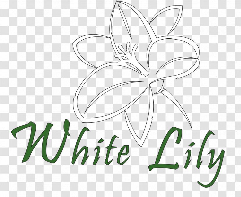 Web Development Design Page - Email - White Lilies Transparent PNG